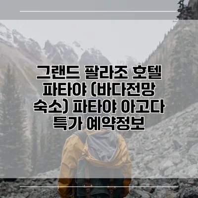 그랜드 팔라조 호텔 파타야 (바다전망 숙소) 파타야 아고다 특가 예약정보