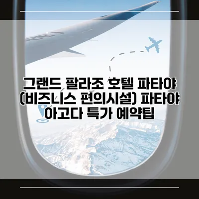 그랜드 팔라조 호텔 파타야 (비즈니스 편의시설) 파타야 아고다 특가 예약팁