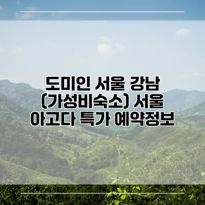 도미인 서울 강남 (가성비숙소) 서울 아고다 특가 예약정보