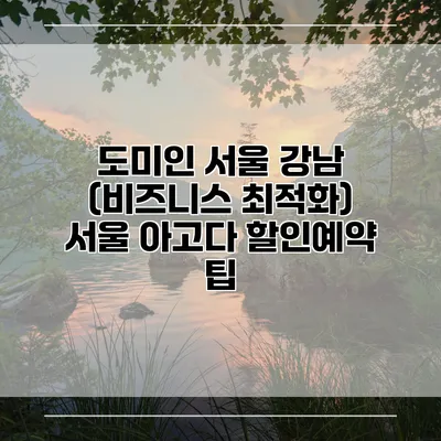 도미인 서울 강남 (비즈니스 최적화) 서울 아고다 할인예약 팁