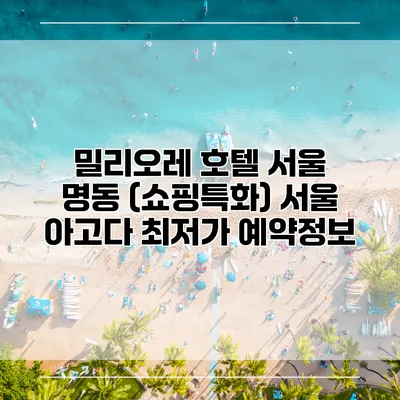 밀리오레 호텔 서울 명동 (쇼핑특화) 서울 아고다 최저가 예약정보