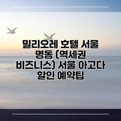 밀리오레 호텔 서울 명동 (역세권 비즈니스) 서울 아고다 할인 예약팁