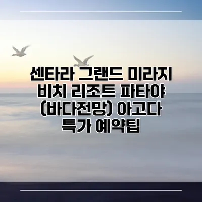 센타라 그랜드 미라지 비치 리조트 파타야 (바다전망) 아고다 특가 예약팁