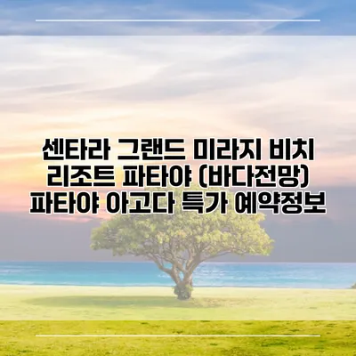 센타라 그랜드 미라지 비치 리조트 파타야 (바다전망) 파타야 아고다 특가 예약정보
