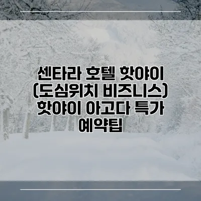 센타라 호텔 핫야이 (도심위치 비즈니스) 핫야이 아고다 특가 예약팁