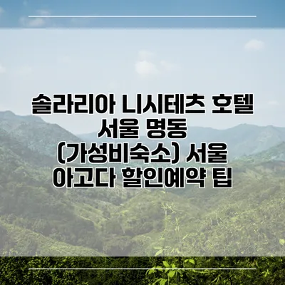솔라리아 니시테츠 호텔 서울 명동 (가성비숙소) 서울 아고다 할인예약 팁