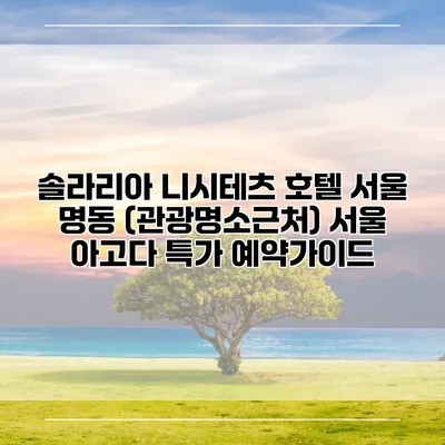 솔라리아 니시테츠 호텔 서울 명동 (관광명소근처) 서울 아고다 특가 예약가이드