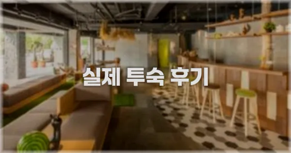 💬 실제 투숙 후기