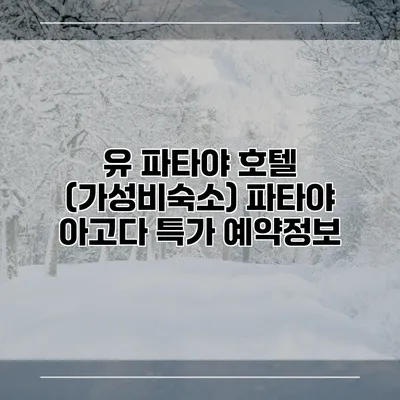 유 파타야 호텔 (가성비숙소) 파타야 아고다 특가 예약정보