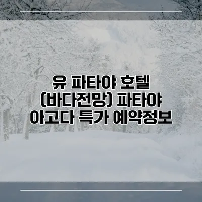 유 파타야 호텔 (바다전망) 파타야 아고다 특가 예약정보