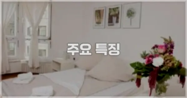 ✨ 주요 특징
