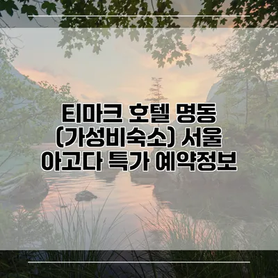 티마크 호텔 명동 (가성비숙소) 서울 아고다 특가 예약정보
