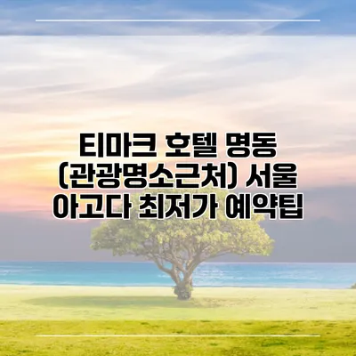 티마크 호텔 명동 (관광명소근처) 서울 아고다 최저가 예약팁