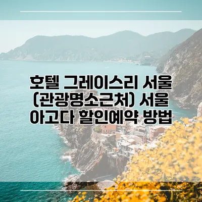 호텔 그레이스리 서울 (관광명소근처) 서울 아고다 할인예약 방법