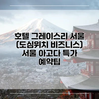 호텔 그레이스리 서울 (도심위치 비즈니스) 서울 아고다 특가 예약팁