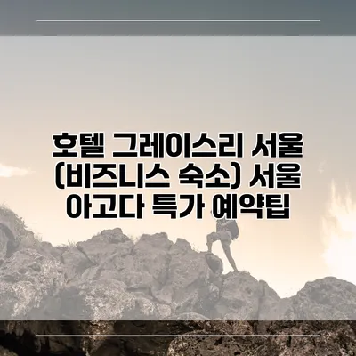 호텔 그레이스리 서울 (비즈니스 숙소) 서울 아고다 특가 예약팁