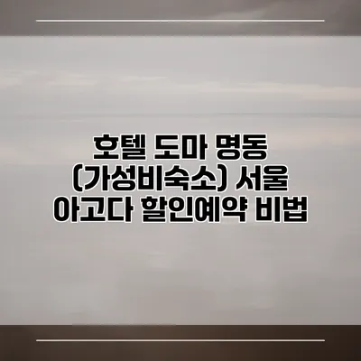 호텔 도마 명동 (가성비숙소) 서울 아고다 할인예약 비법