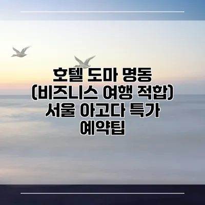 호텔 도마 명동 (비즈니스 여행 적합) 서울 아고다 특가 예약팁