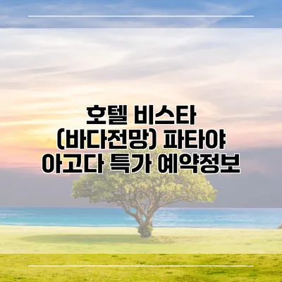 호텔 비스타 (바다전망) 파타야 아고다 특가 예약정보