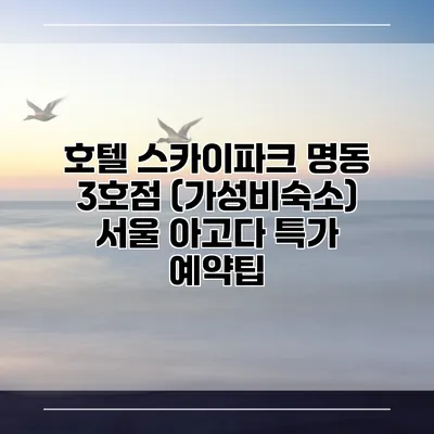 호텔 스카이파크 명동 3호점 (가성비숙소) 서울 아고다 특가 예약팁