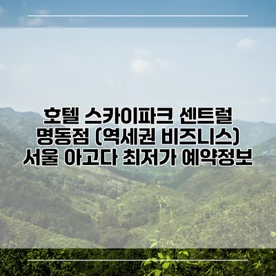 호텔 스카이파크 센트럴 명동점 (역세권 비즈니스) 서울 아고다 최저가 예약정보