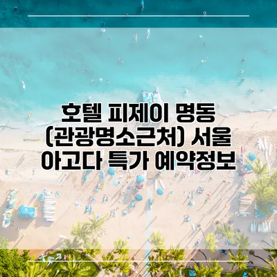 호텔 피제이 명동 (관광명소근처) 서울 아고다 특가 예약정보